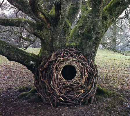 Andy Goldsworthy le nid.jpg