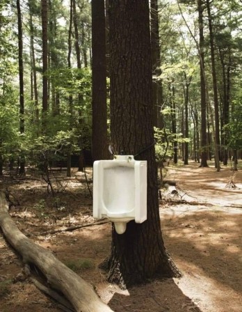 David Hammons Toilet Tree 2004 Ceramic urinal urinoir des bois la nature a toujours inspiré l'homme