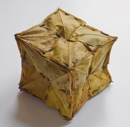 Andy Goldsworthy Leaf Box cube de feuilles pouf d'automne.jpg, nov. 2020