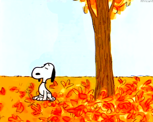 Charlie Brown Fall arrêter l'automne.gif, oct. 2021