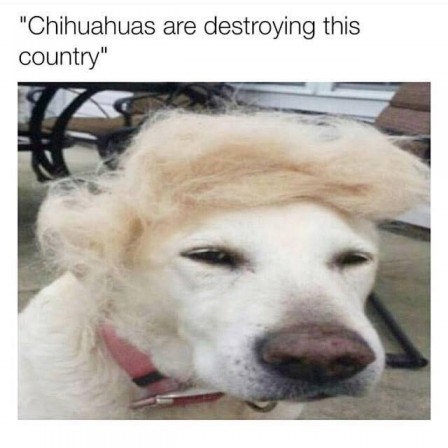 Donald_Trump_chien_immigration.jpg