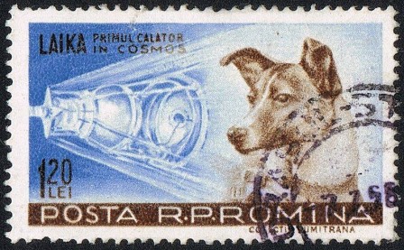 Laika_Soviet_space_dog_c._1954___November_3__1957_posta_romana_1959_chien.jpg
