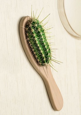brosse_a_cheveux_cactus.jpg