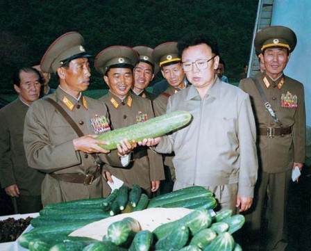 les concombres de Corée du nord.jpg