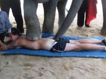 massage_detente_elephant_DG.jpg