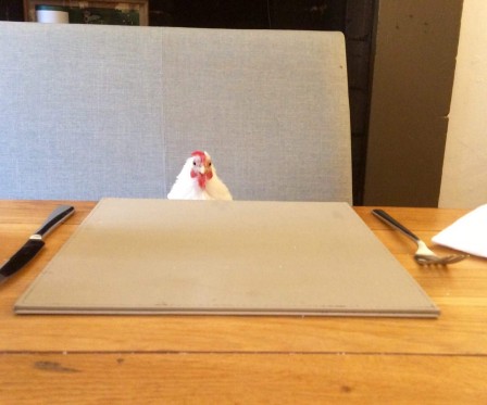 poulet_a_table.jpg