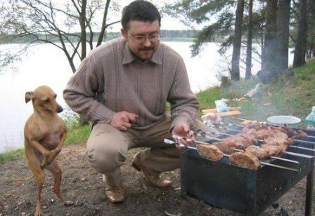 recette_barbecul_chien.jpg