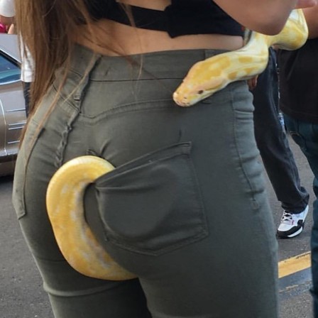 serpent pantalon.jpg