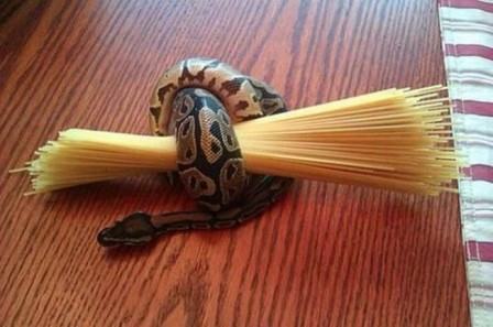 serpent_spaghettis.jpg