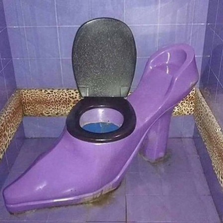 toilettes pour dames chaussures.jpg