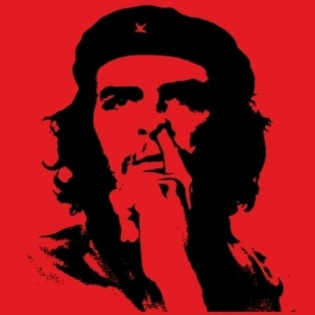 Che Guevara Viva la contaminación.jpeg, déc. 2020