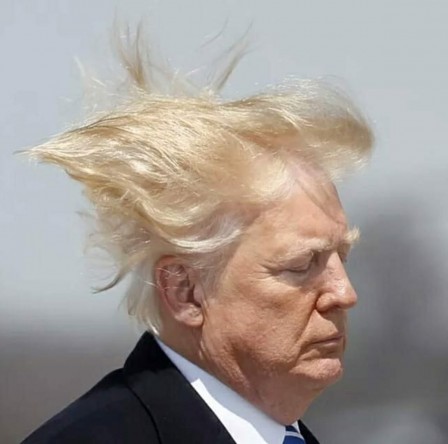 Donald Trump chevelure.jpg