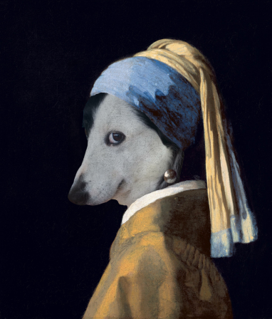 Johannes Vermeer la jeune chienne à la perle.png