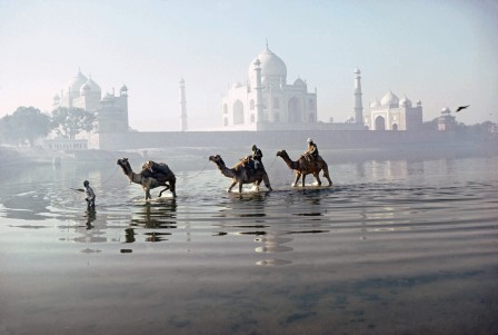 Roland_et_Sabrina_Michaud_Camels_crossing_the_river_Yamuna_Agra_Uttar_Pradesh_1981.jpg