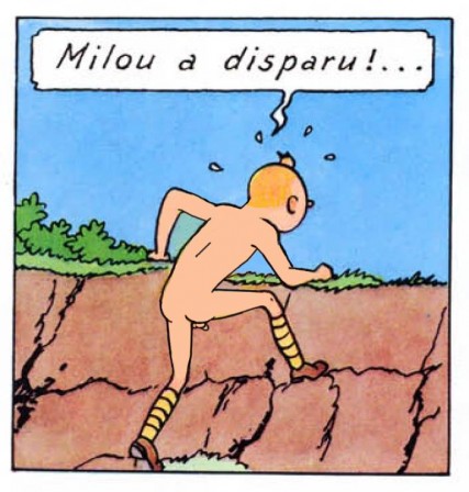 Tintin_au_Congo_a_poil_milou_a_disparu.jpg