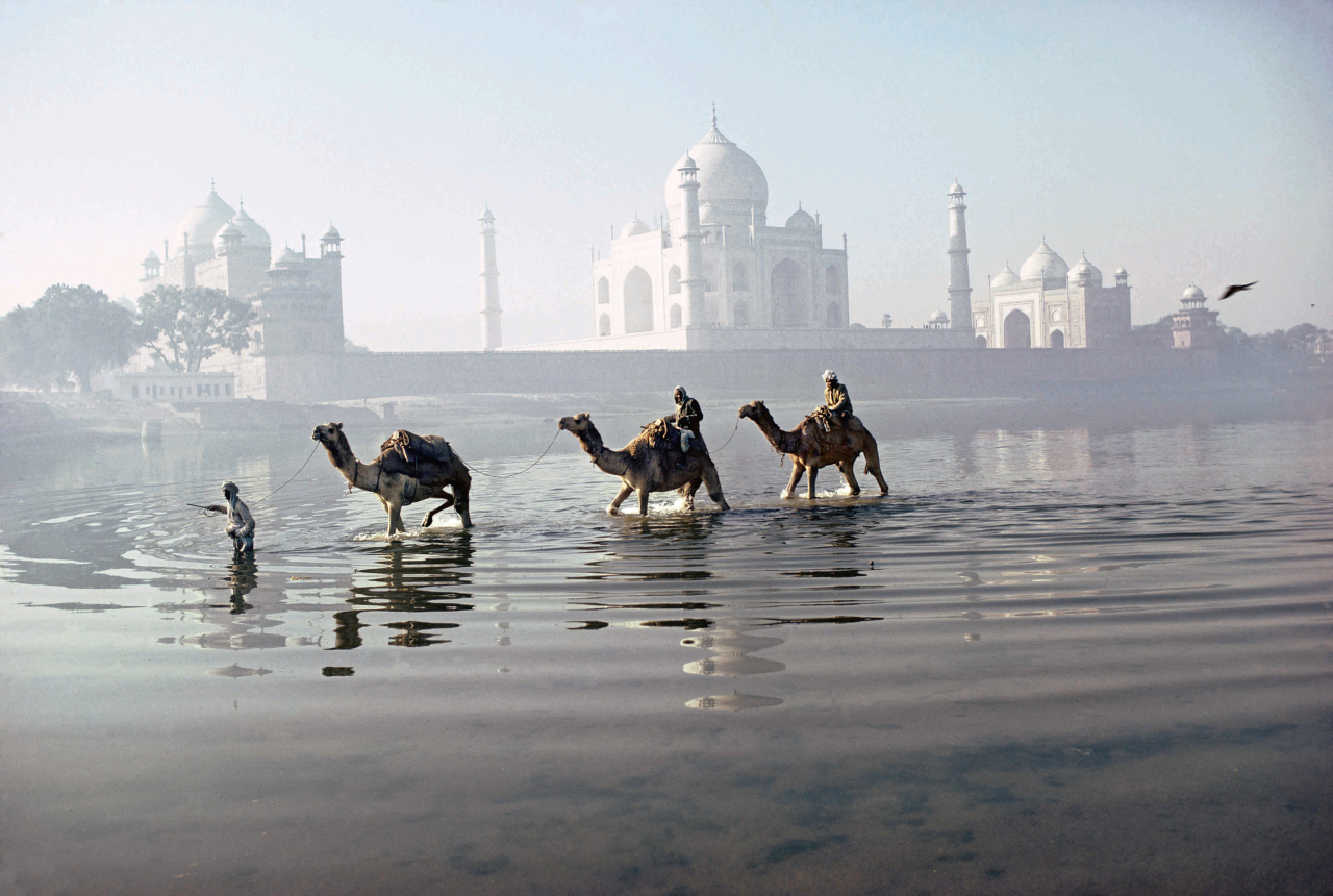 http://www.yves.brette.biz/public/parodies/Roland_et_Sabrina_Michaud_Camels_crossing_the_river_Yamuna_Agra_Uttar_Pradesh_1981.jpg