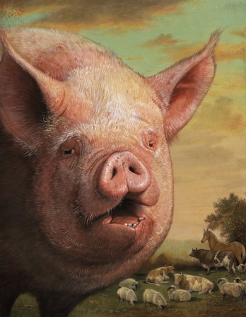Bill Mayer porc.jpg