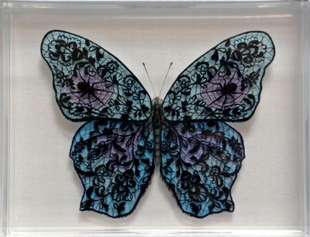 Hisham_Echafaki_Black-Lace-Butterfly-with-Spider.jpg