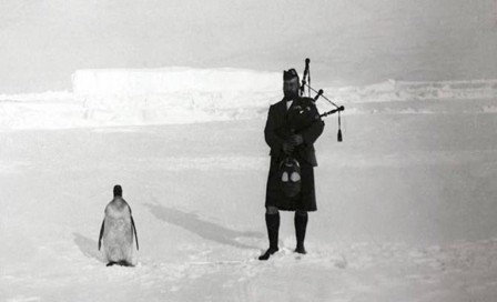 A member of the Scottish National Antarctic Expedition plays the bagpipes for a penguin 1904.jpg