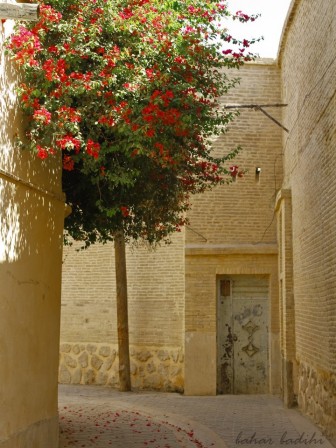 Bahar Badihi arbre en fleur ville.jpg