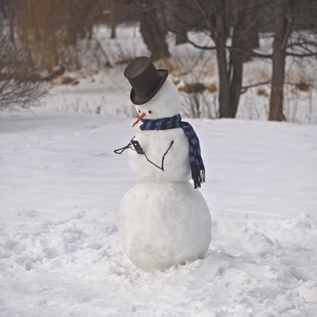 Brock Davis bonhomme de neige.jpg