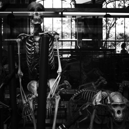 François Billou squelette mort.jpg