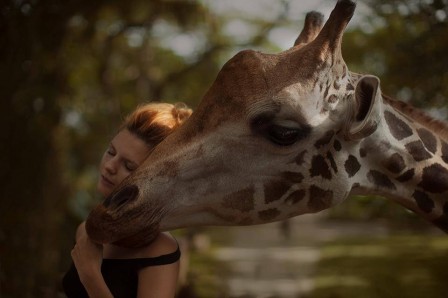 Katerina_Plotnikova_girafe_affection.jpg