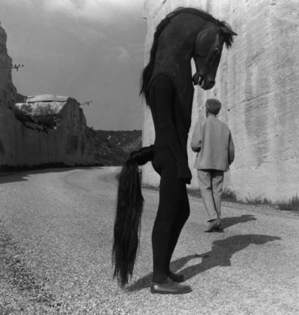 L__Homme_Cheval_from_Cocteau__s___Testament_d__Orphee___._photograph_by_Lucien_Clergue.jpg