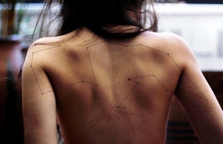 Lauren Plevy la constellation des gémeaux.jpg