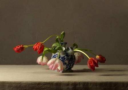 Marie_Cecile_Thijs_la_vie_des_tulipes.jpg