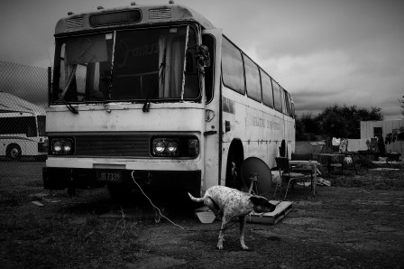 Rob Jenkins le bus.jpg