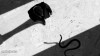 3d53a119-6ddc-4064-9751-2ae29998de36.gif