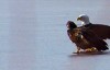 81b53e69-9c99-4bc7-ad37-7fe1f199cb34.gif