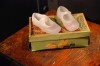 Alison Lowry la rentrée dans de petits souliers de verre.jpg