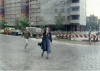 Anna Malina la déchirure andrzej żuławski possession.gif