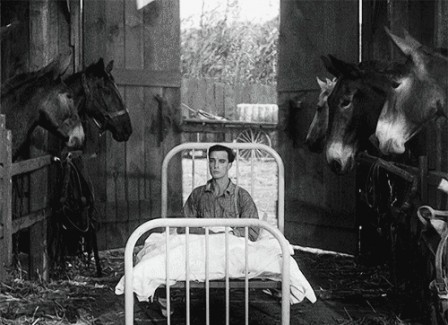 Buster Keaton Steamboat Bill Jr 1928 les courses de chevaux.gif