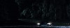 Casino Royale cherchez la femme réveillon.gif