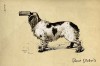 Denis_Dubois_siffler_le_chien.jpg