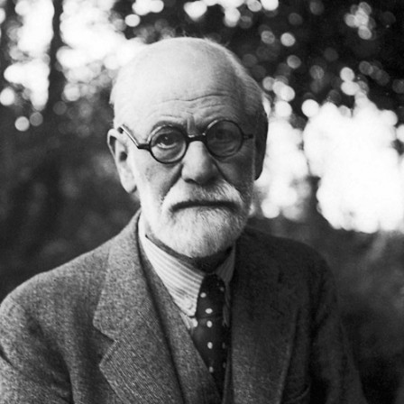 Freud introduction à l'ophtalmologie.gif