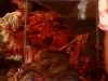 Halloween Alice ça glisse.gif