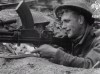 Histoire le rôle méconnu des chats dans la fin de la guerre.gif