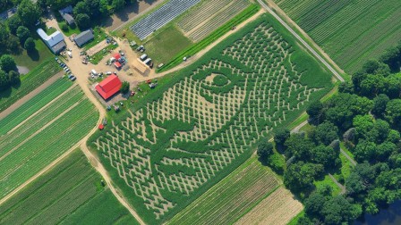 Hugh McPherson Dali crop circles extra terrestre 2.jpg