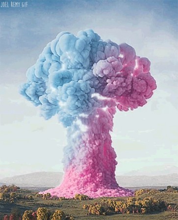 Joel Remy FILIP HODAS printemps social.gif