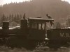 Macron le grand timonier train.gif