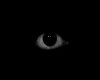 Mauro_Ruscelli_oeil.gif
