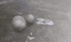 Max Parsons les objets flottants.gif
