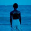 Moonlight_2016_dir_Barry_Jenkins_la_mer.gif