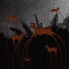 Obarski les animaux de la forêt.gif