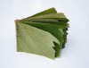Odine Lang Blattbuch livre de feuilles le grand livre de la nature.jpg, janv. 2023