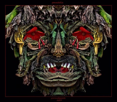 Pierino_Palotti_Arcimboldo.jpg